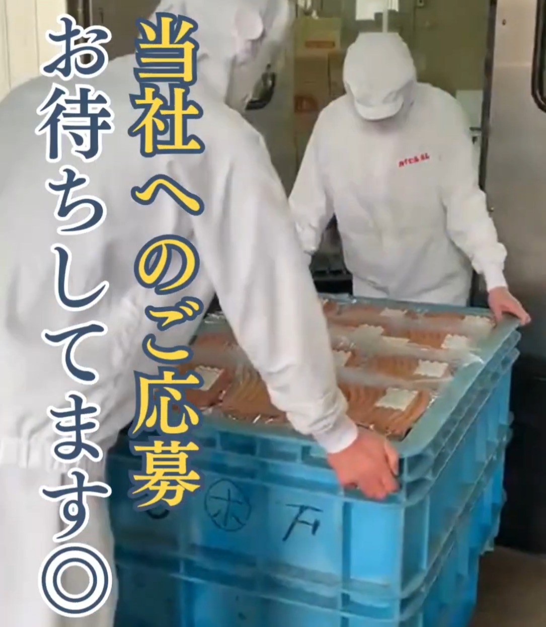 カイゼル ハム 大和食品工業株式会社　湘南藤沢工場 動画 食品製造