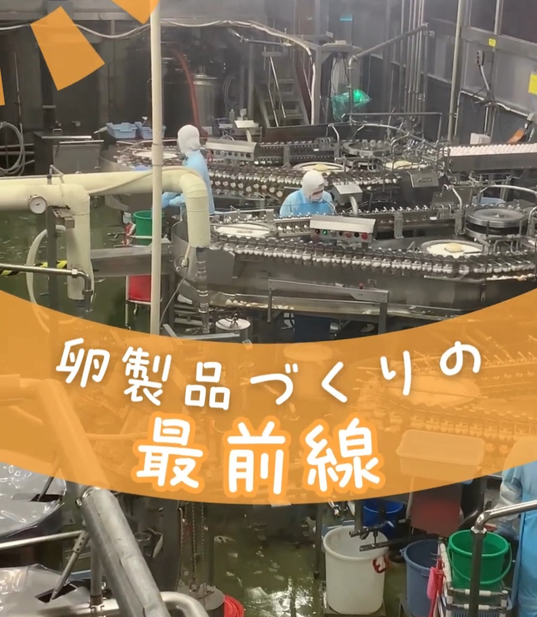 キユーピータマゴ株式会社　茨城工場 動画 食品製造