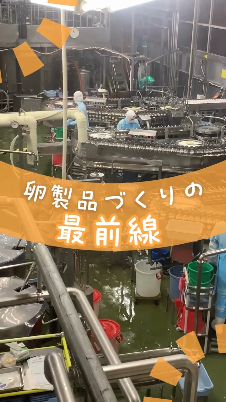 キユーピータマゴ株式会社　茨城工場 動画 食品製造