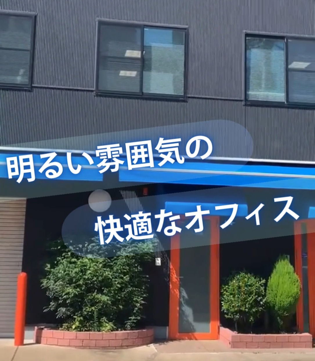 株式会社エレコ 動画 一般事務