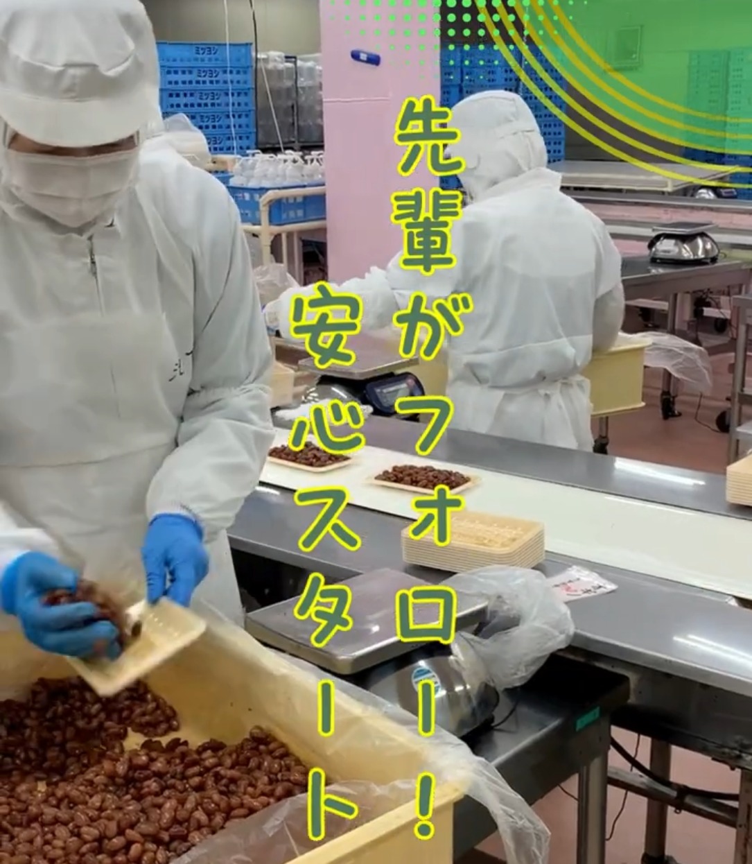 三嘉食品株式会社 動画 食品製造