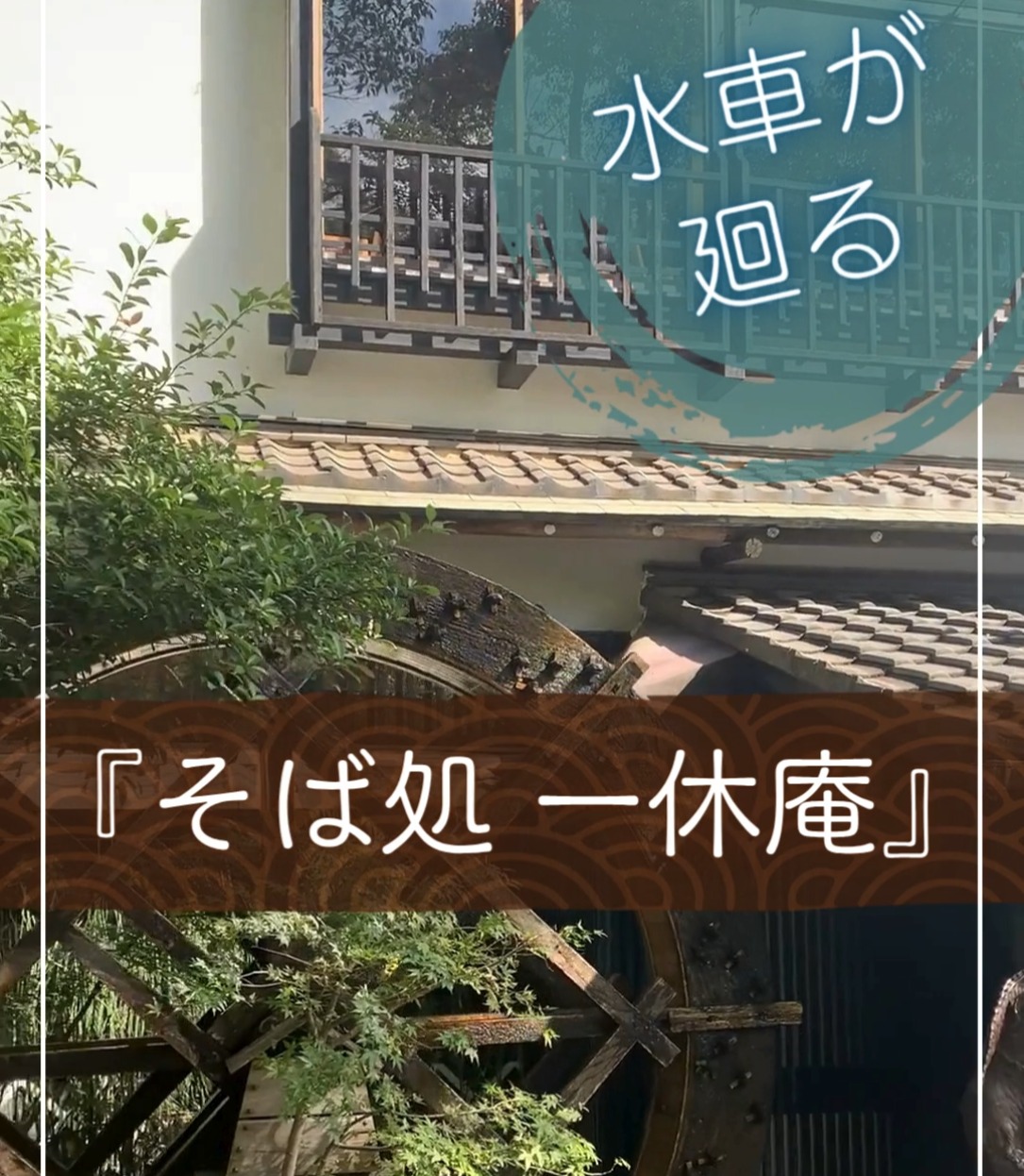 深大寺そば処 水車の廻る店　一休庵 動画 専門料理店