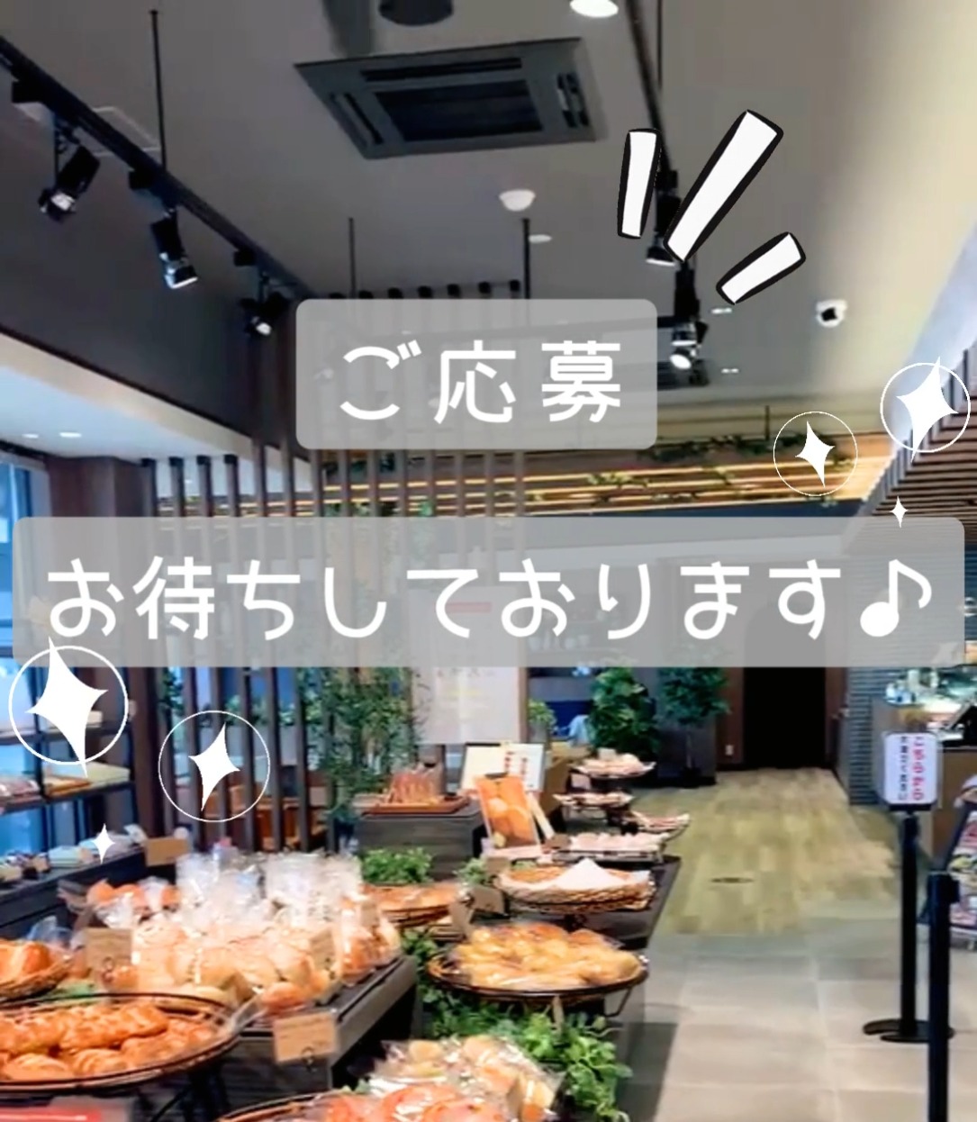 株式会社メモルス 動画 スイーツ・ケーキ