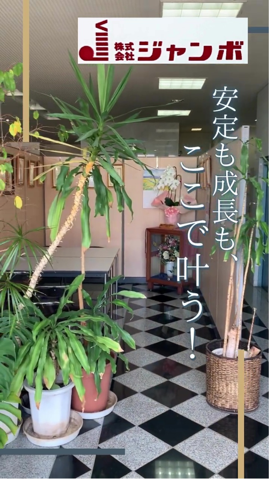 株式会社ジャンボ 動画 営業事務