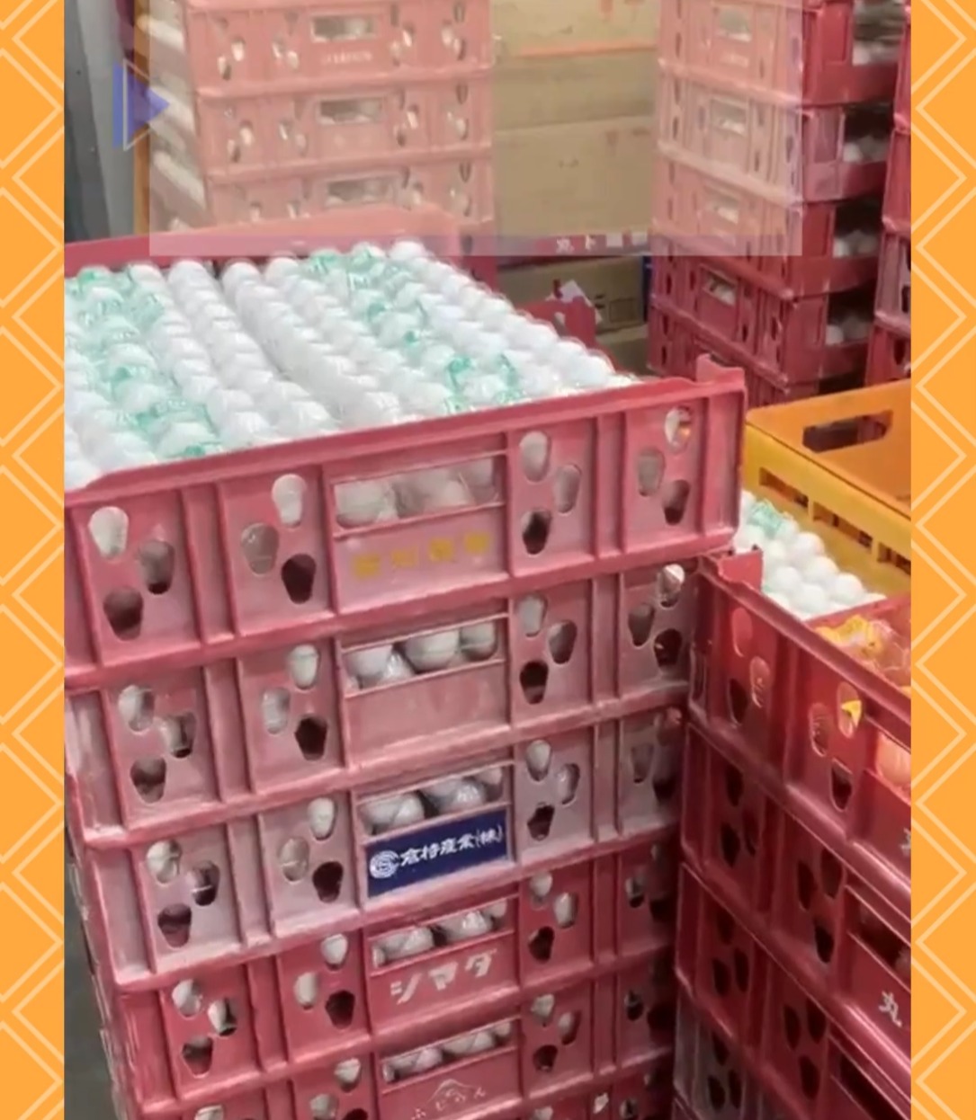 丸ト鶏卵販売株式会社　神奈川工場 動画 梱包