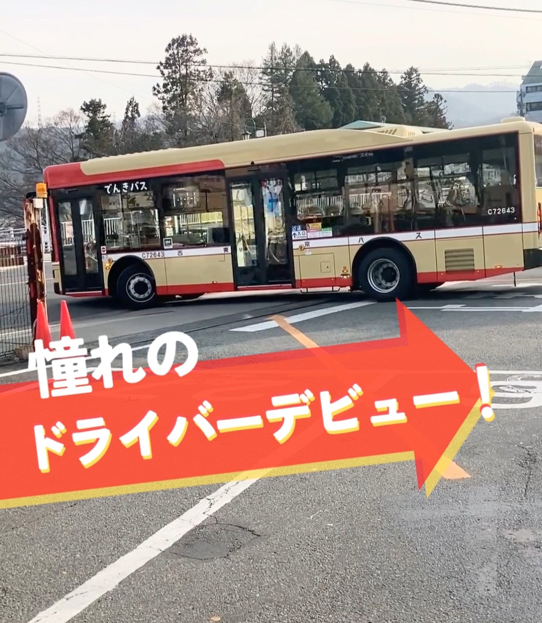 西東京バス株式会社 動画 路線バス