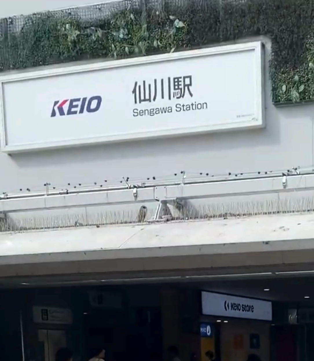 株式会社　南陽ハウジング 動画 内勤営業/カウンターセールス