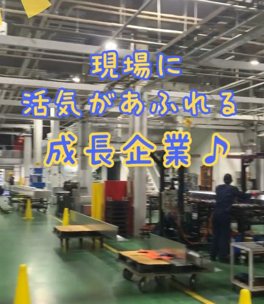 ワールド工業株式会社 動画 一般事務