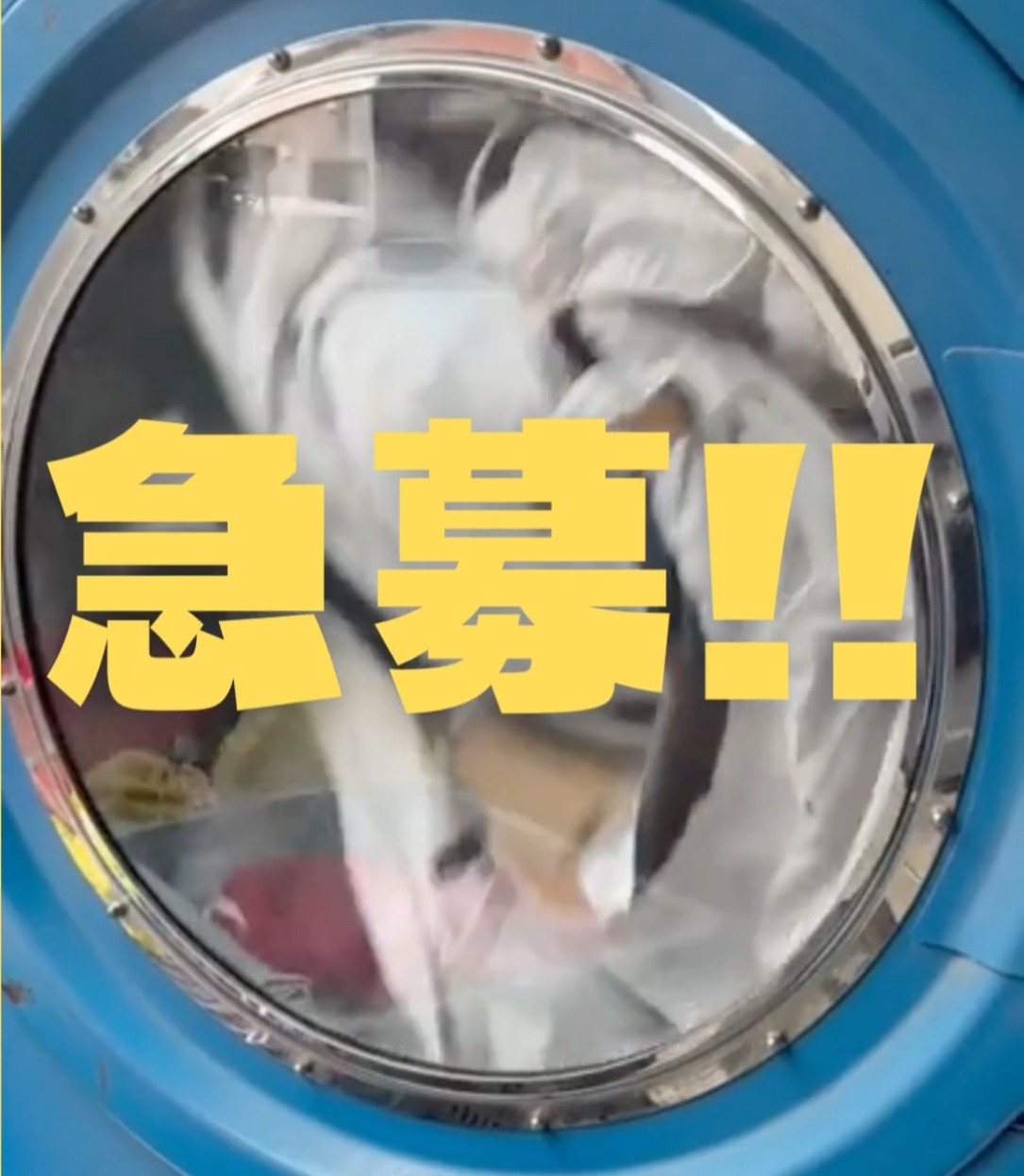 有限会社柳澤クリーニング 動画 仕分け