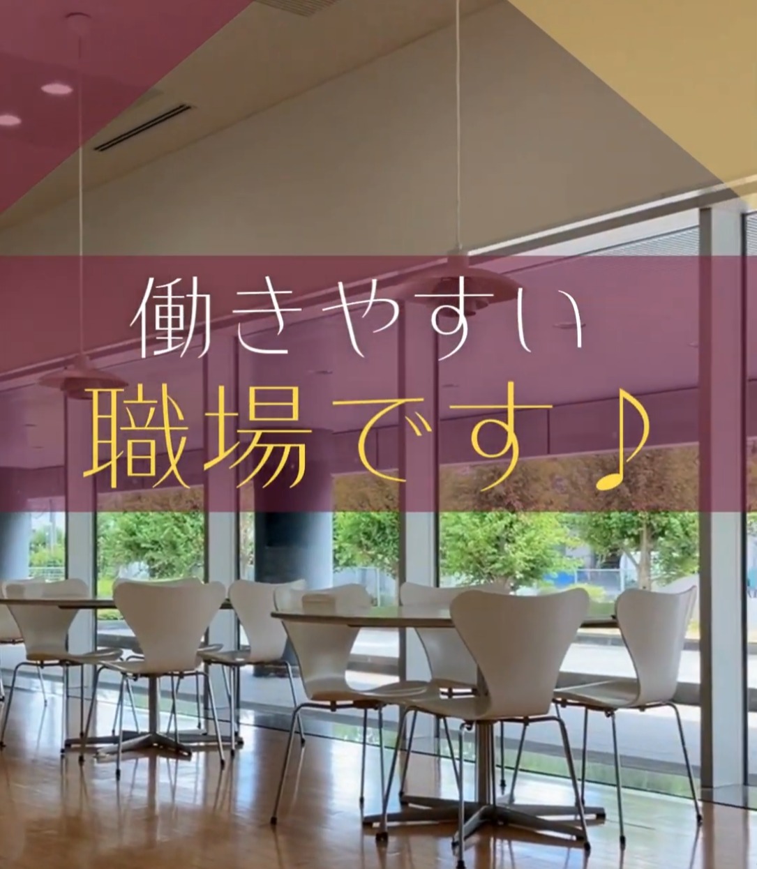 銀座ステファニー化粧品株式会社　埼玉工場 動画 梱包