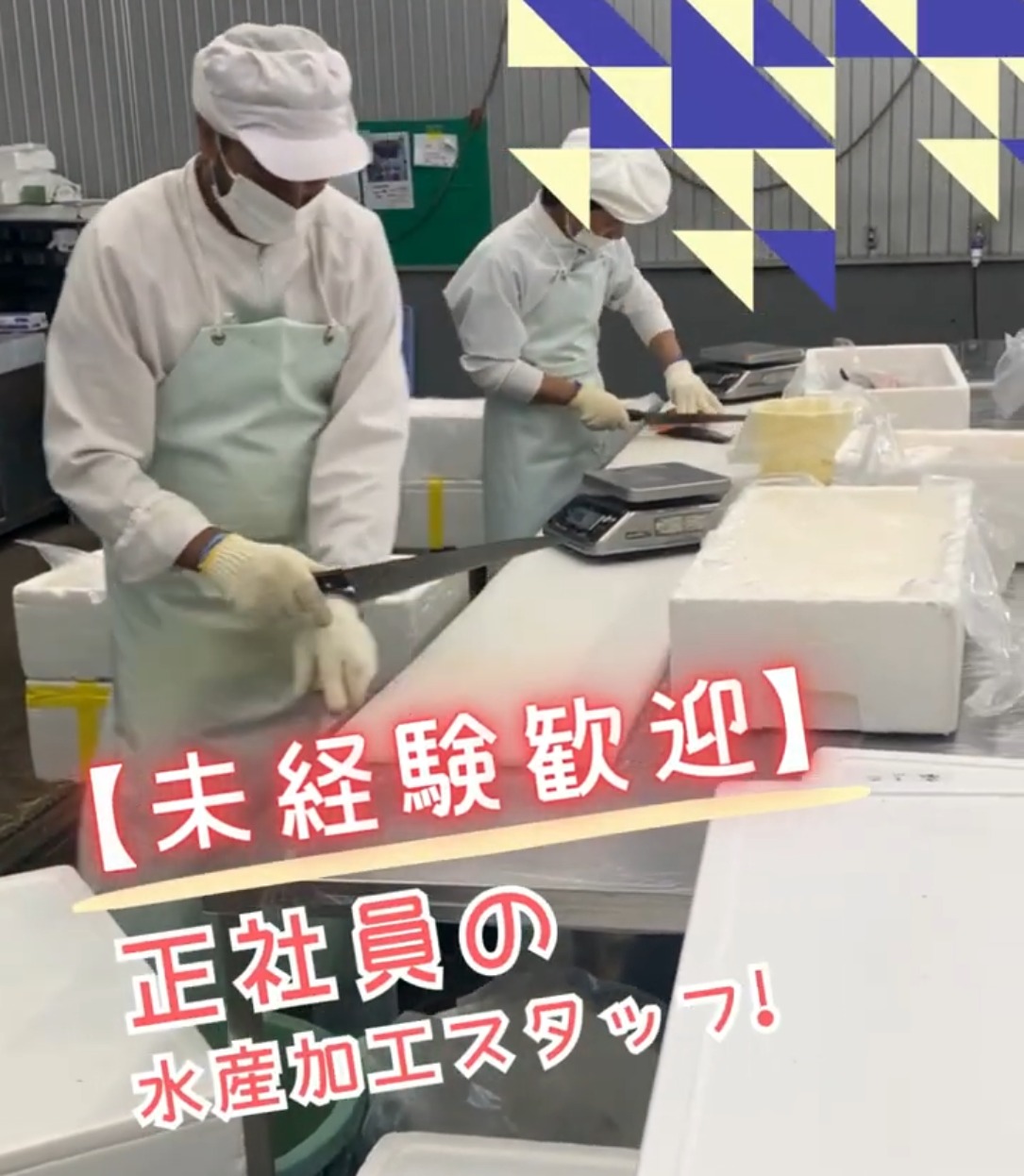 三郷水産株式会社 動画 食品加工
