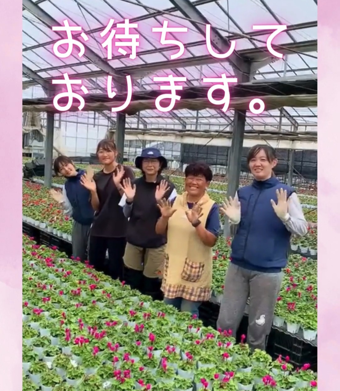 天沼園芸 動画 その他軽作業・製造・物流