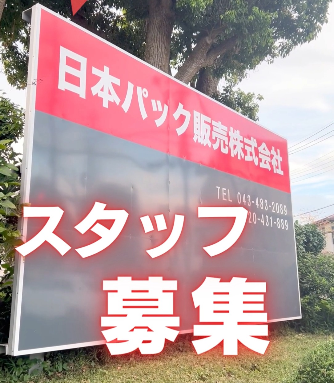 日本パック販売株式会社 動画 ピッキング