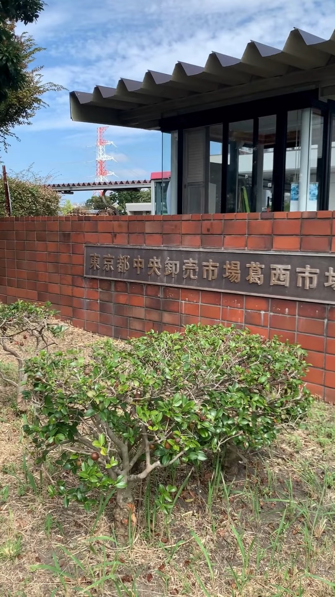 株式会社亀清 動画 梱包