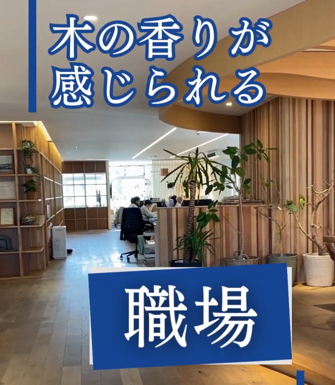 株式会社桝忠銘木店 動画 一般事務