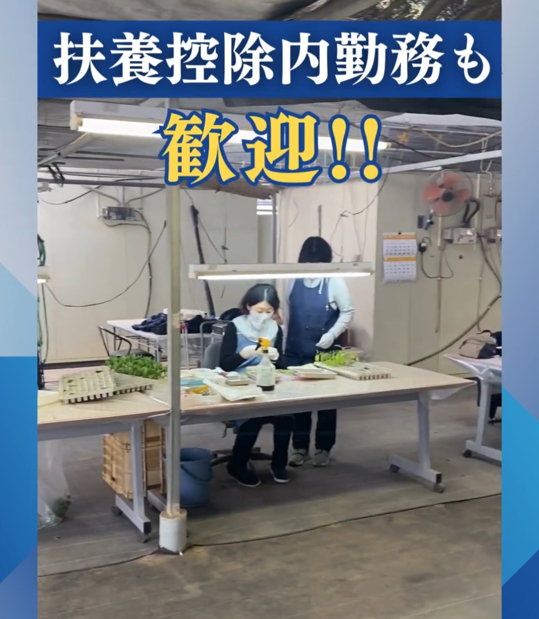 中井農園 動画 その他軽作業・製造・物流