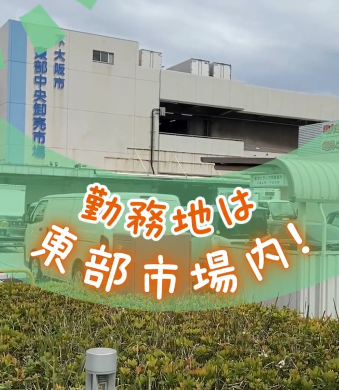 山川物産株式会社 動画 ピッキング
