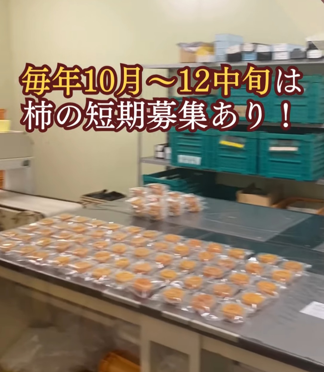 おかもと 動画 梱包