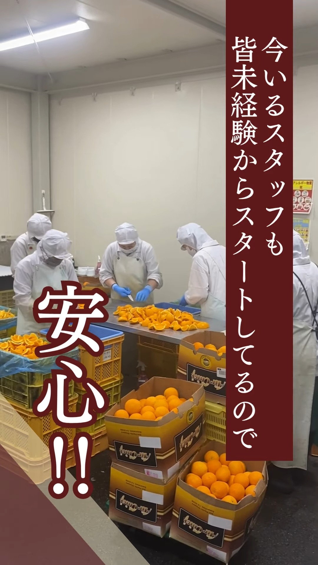 おかもと 動画 梱包