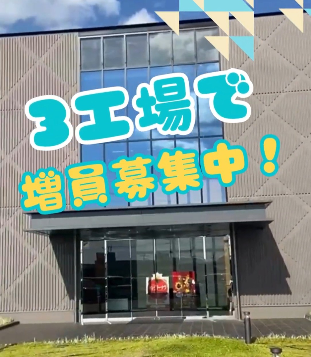 丸中製菓株式会社 動画 梱包