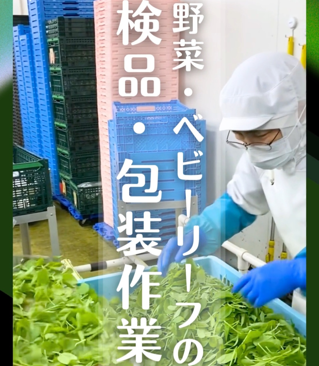 エム・ヴイ・エム商事株式会社 動画 梱包