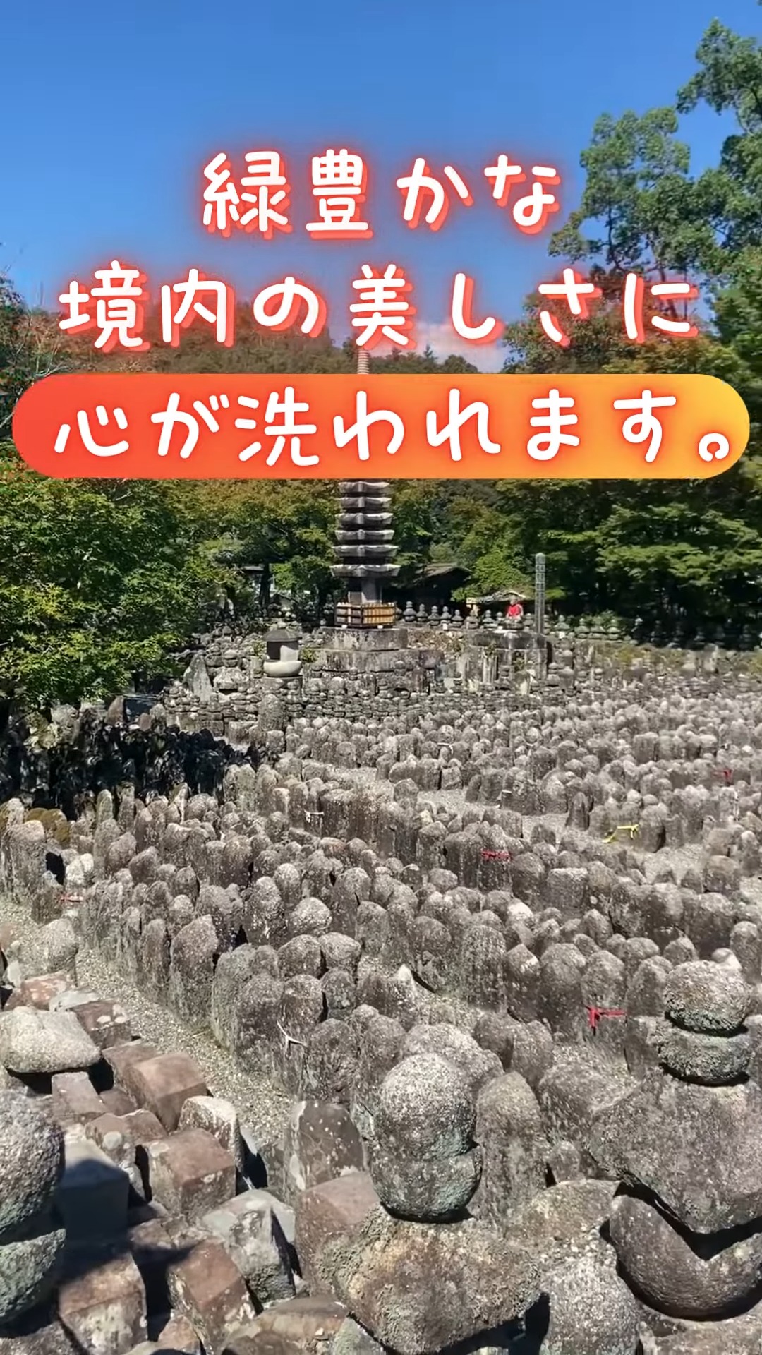 あだし野念佛寺 動画 施設清掃