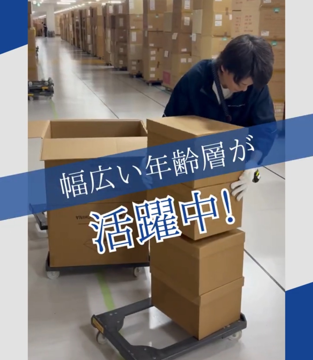 ワコール流通株式会社 動画 ピッキング