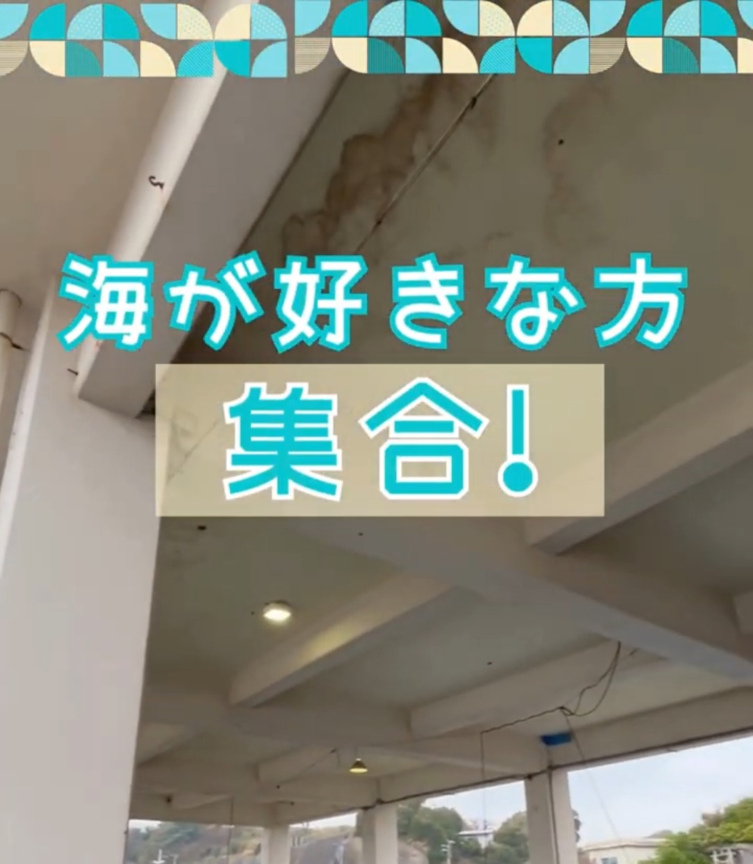 みうら漁業協同組合 動画 梱包