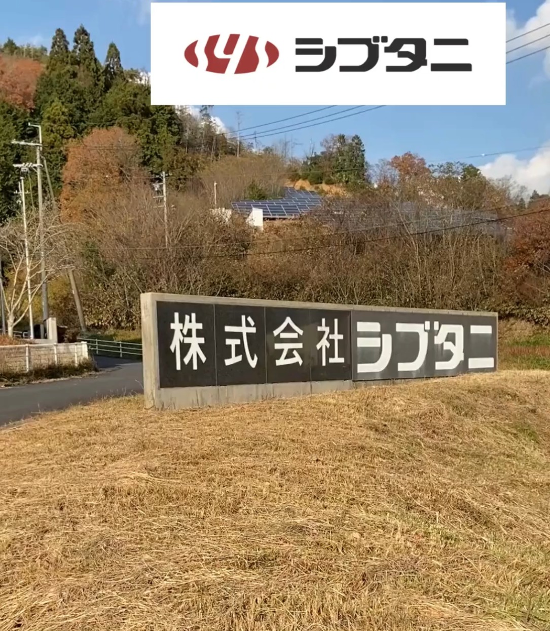 株式会社シブタニ 動画 製造