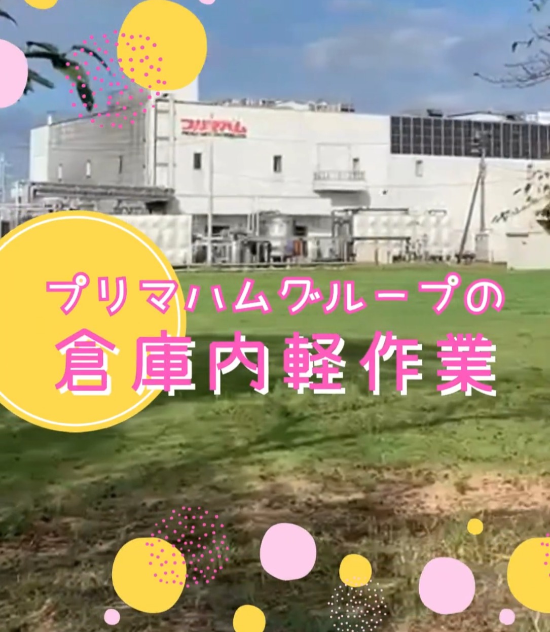 株式会社新栄流通サービス 動画 梱包