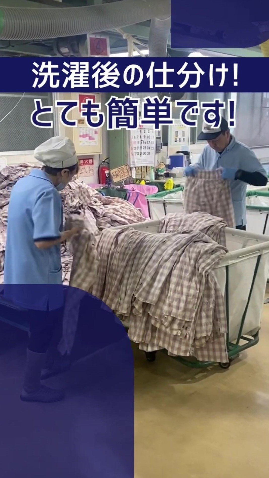 小山産業株式会社 動画 仕分け