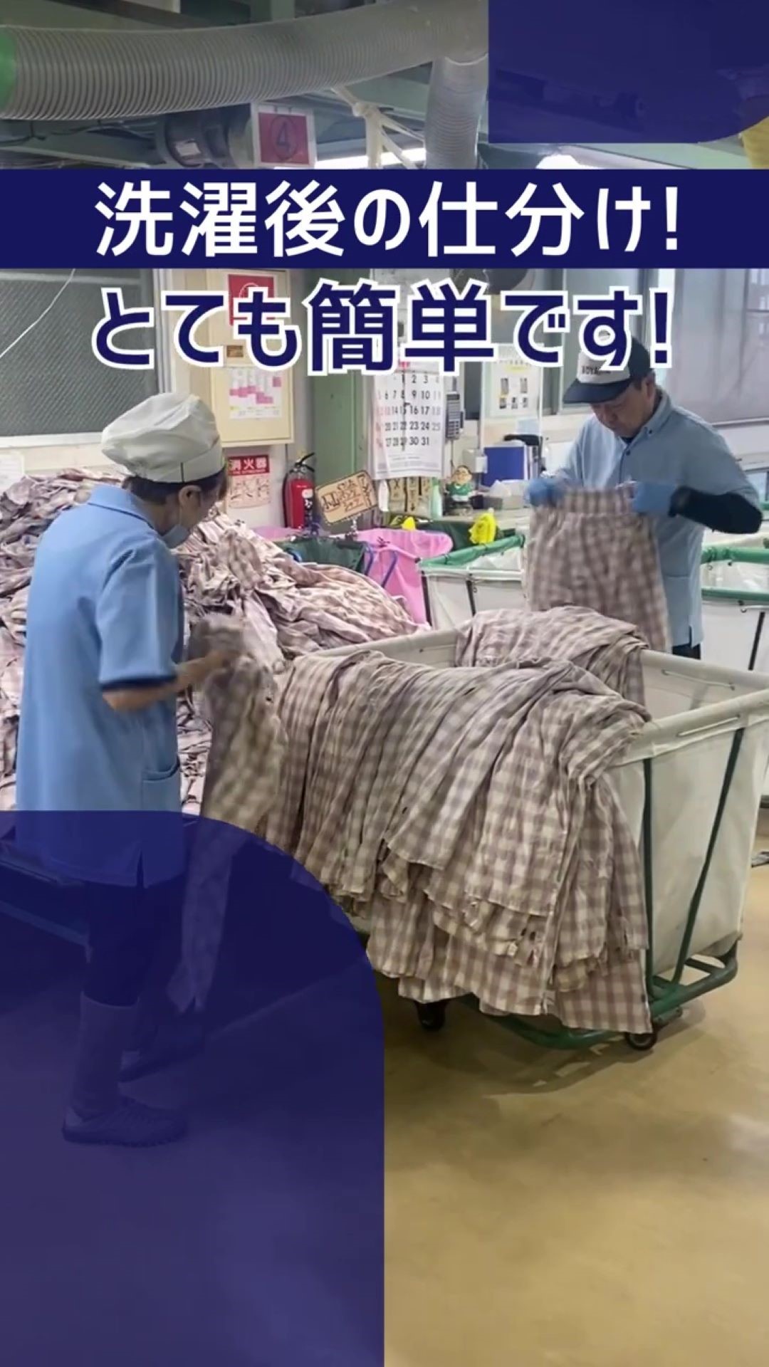 小山産業株式会社 動画 仕分け