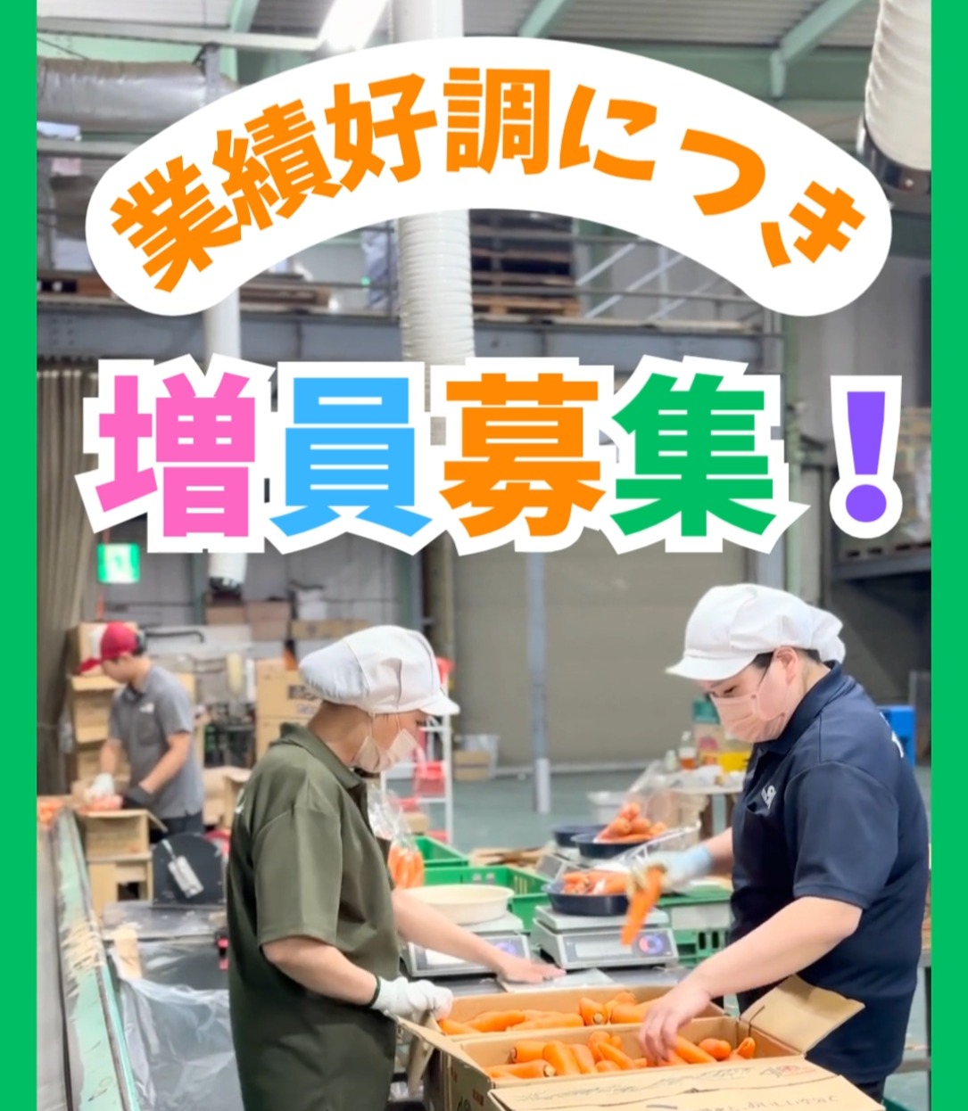 SEIKA88株式会社 動画 梱包