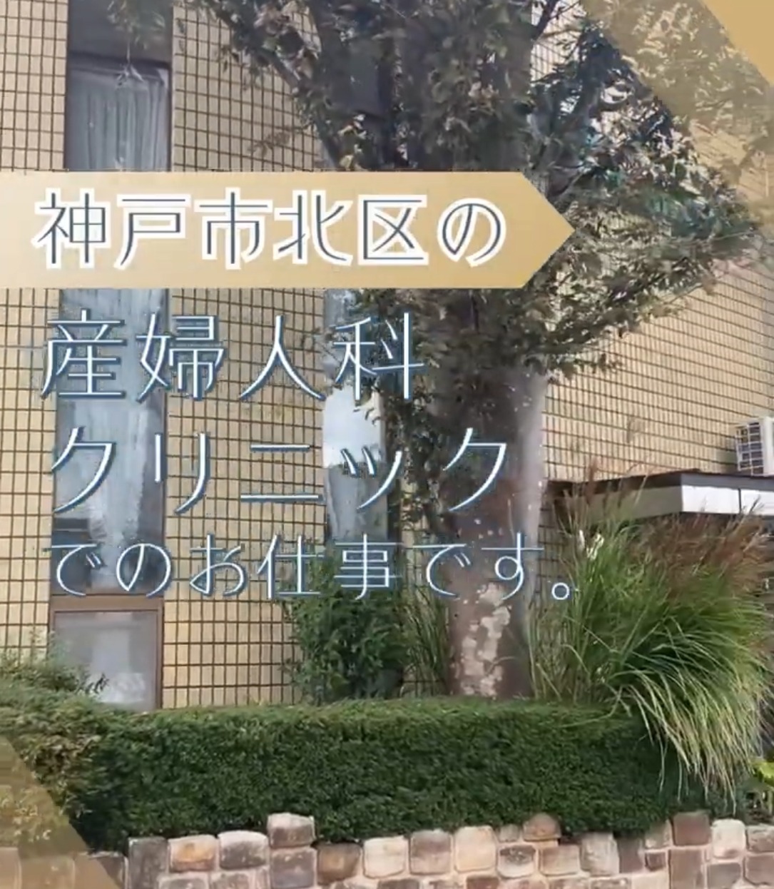 医療法人社団直太会　マムクリニック 動画 正看護師