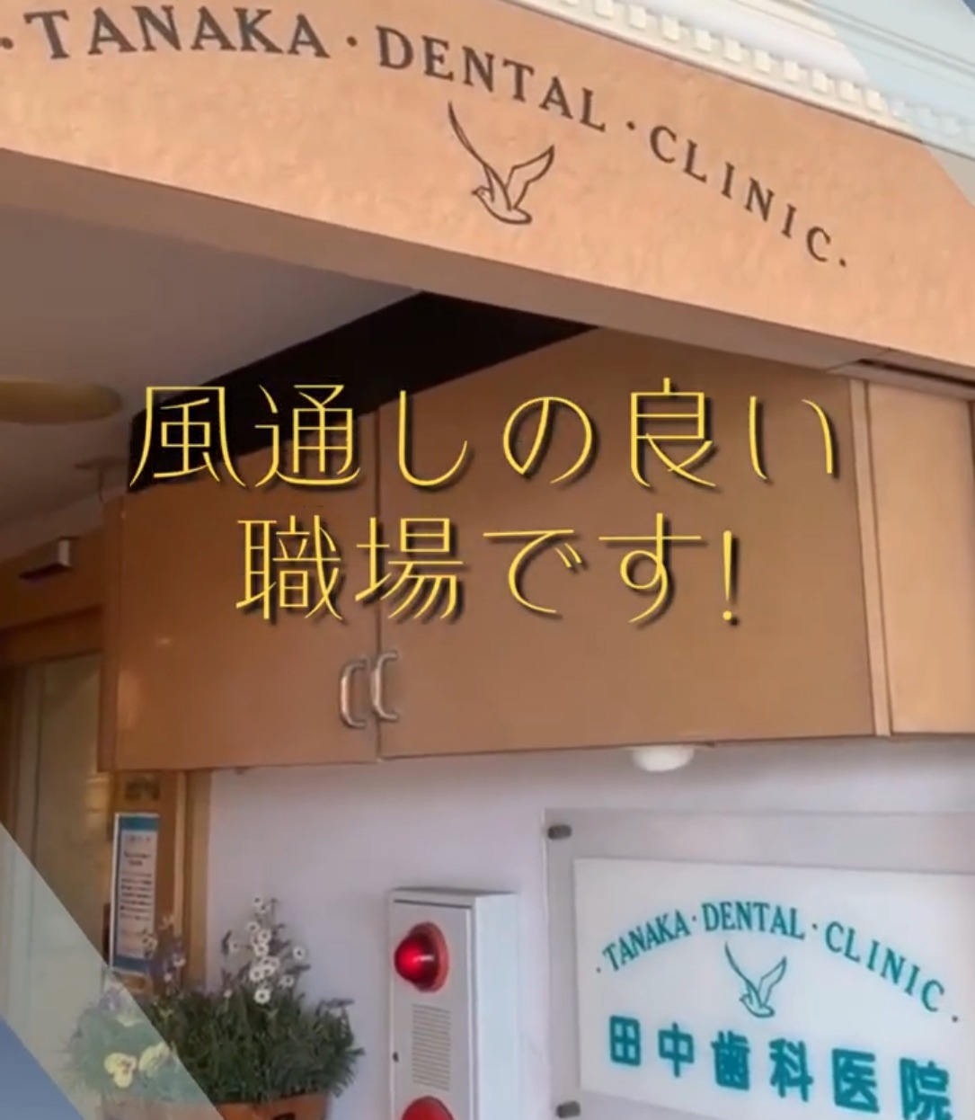 田中歯科医院 動画 歯科衛生士