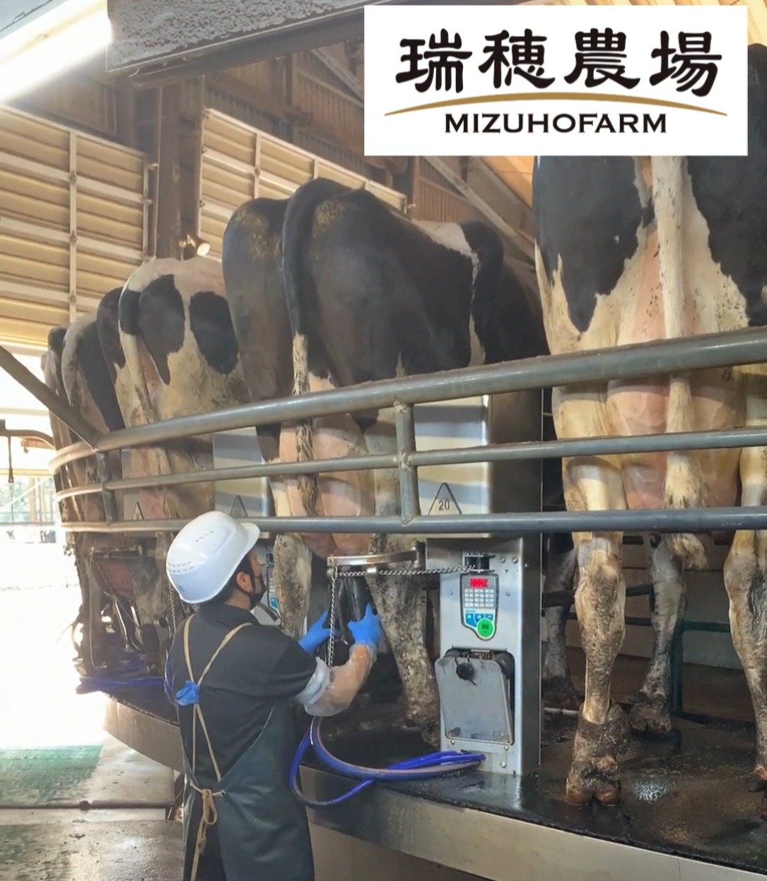 株式会社瑞穂農場 動画 その他建築・設備・アクティブワーク