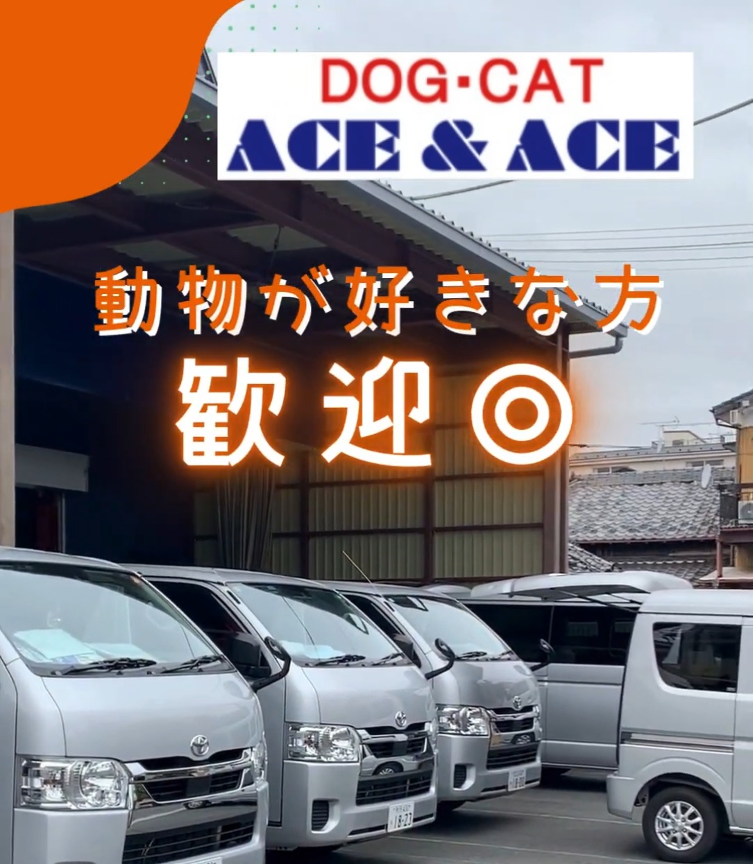 有限会社エースアンドエース　埼玉営業所 動画 営業事務