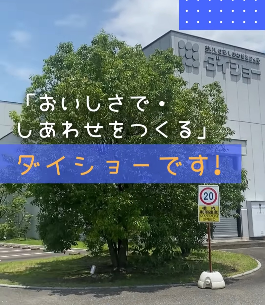株式会社ダイショー 動画 検品・検査