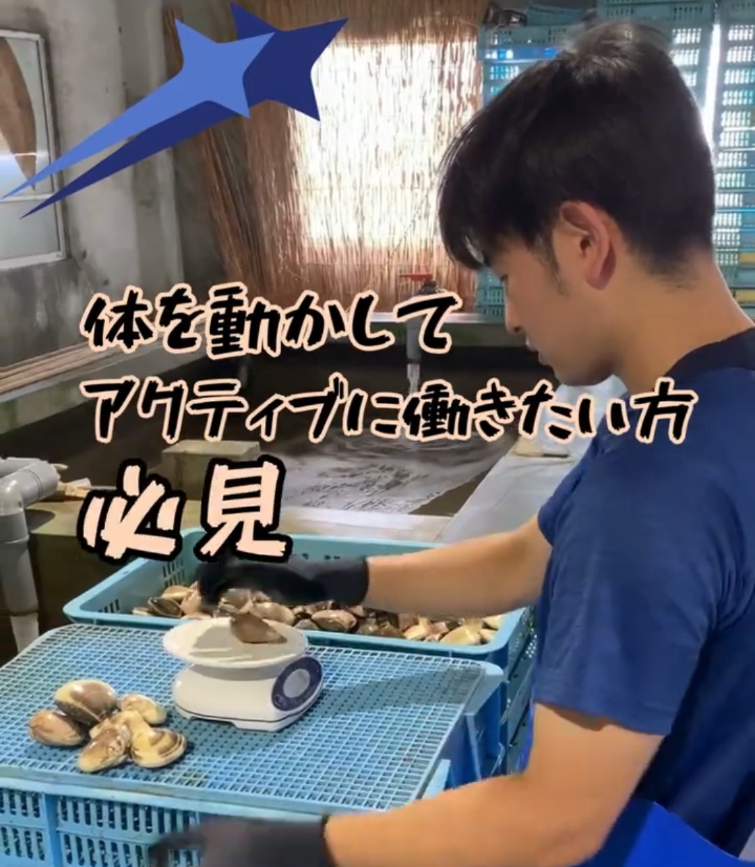 有限会社松彦水産 動画 入出庫・商品管理