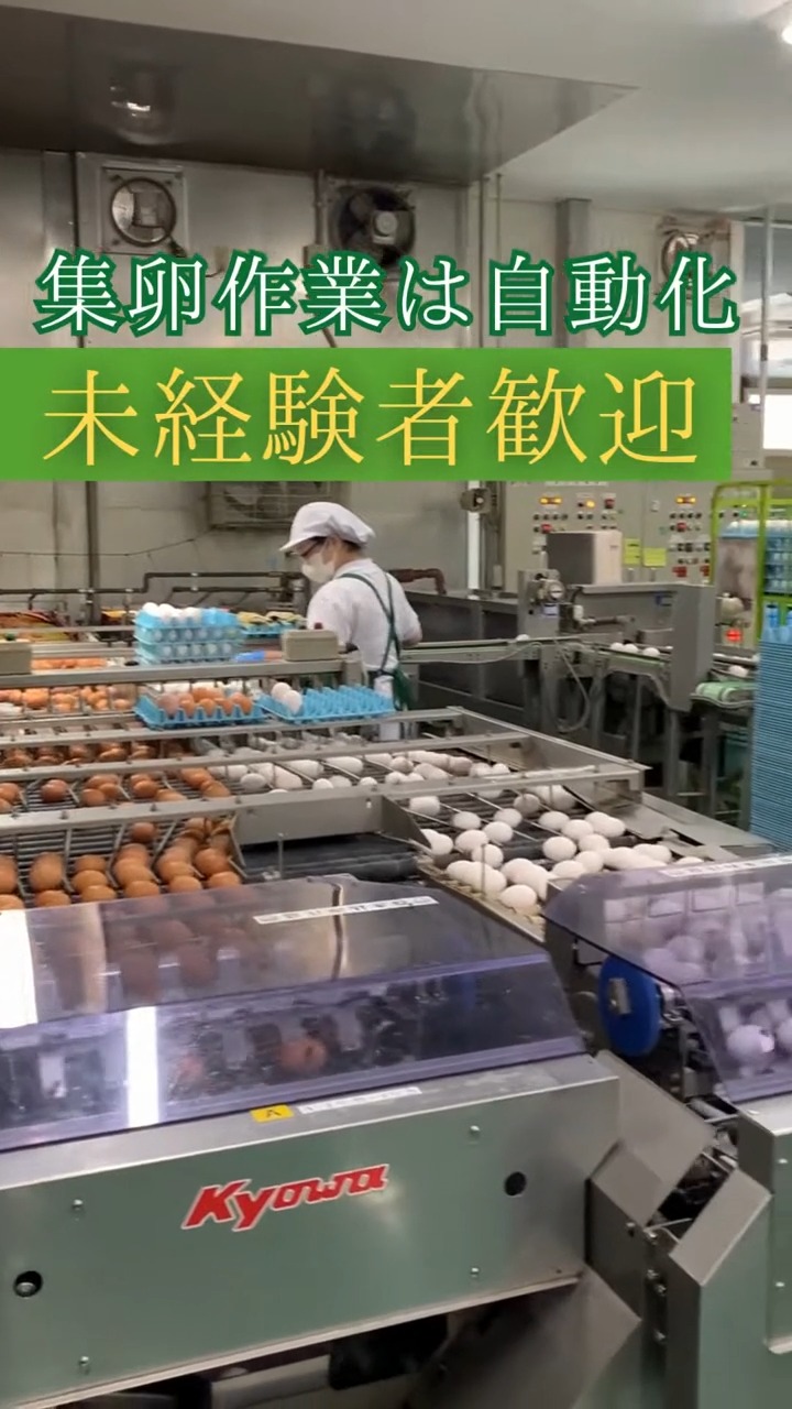 有限会社青木養鶏所 動画 仕分け