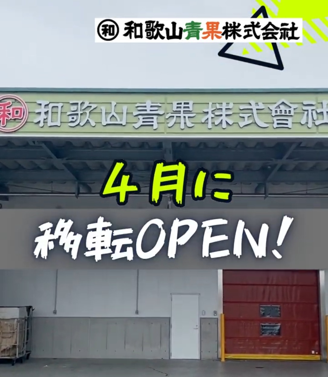 和歌山市中央卸売市場　和歌山青果株式会社 動画 梱包