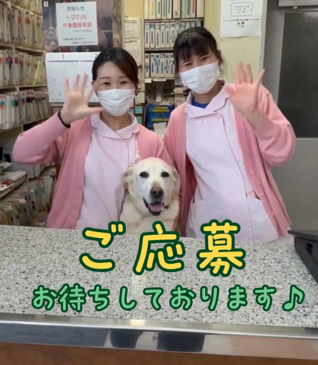セントラル動物病院 動画 医療事務・受付