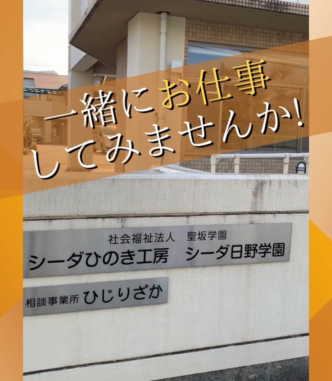 シーダ日野学園 動画 一般事務