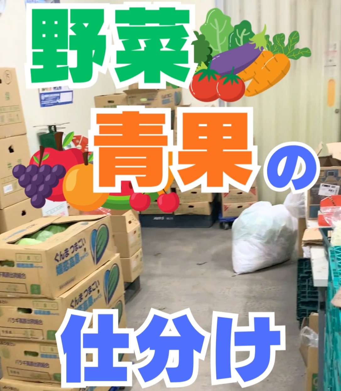 株式会社DAICHI 動画 仕分け