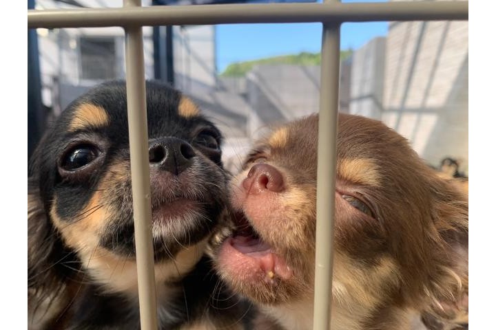 昇給・賞与・交通費など、待遇も充実！