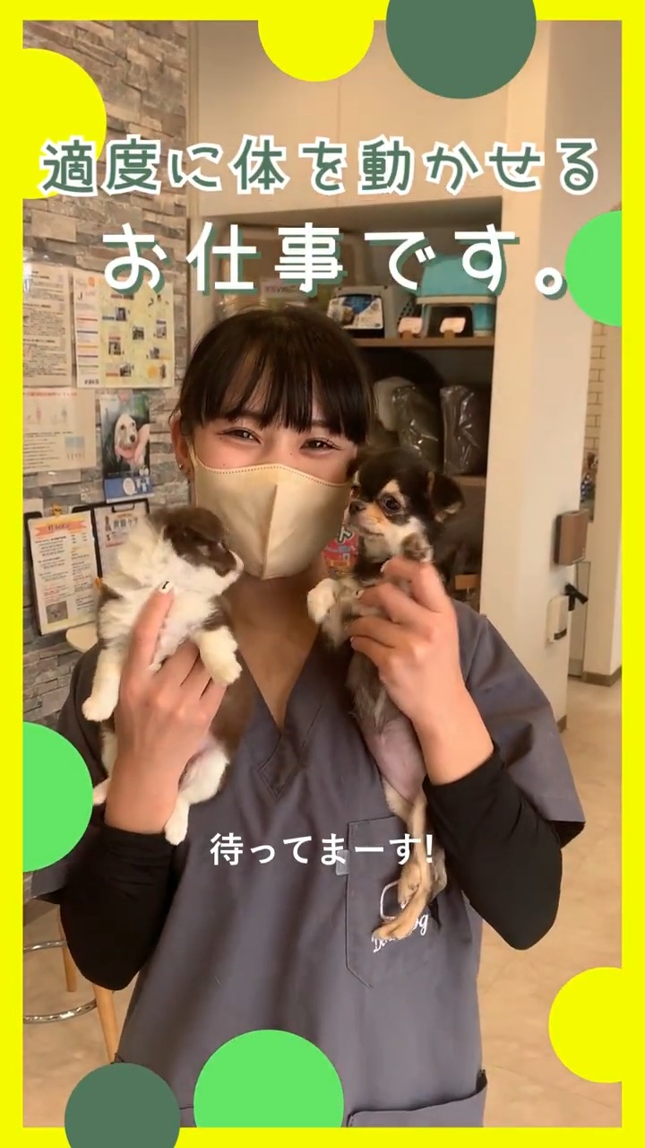 株式会社ロックケープ 動画 その他軽作業・製造・物流