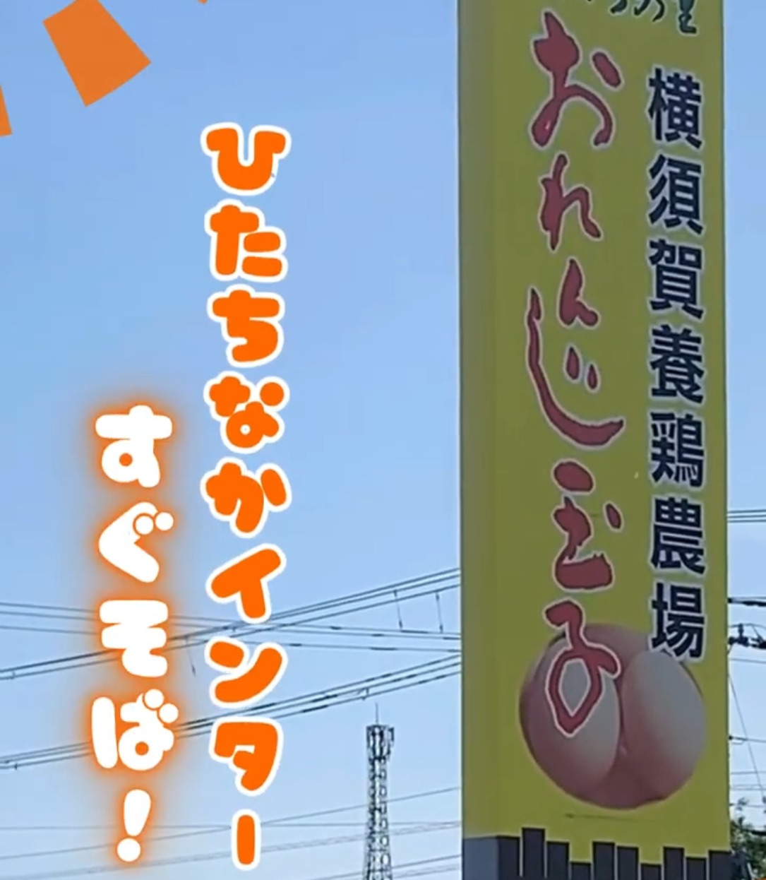 横須賀養鶏農場 動画 食品・試食販売