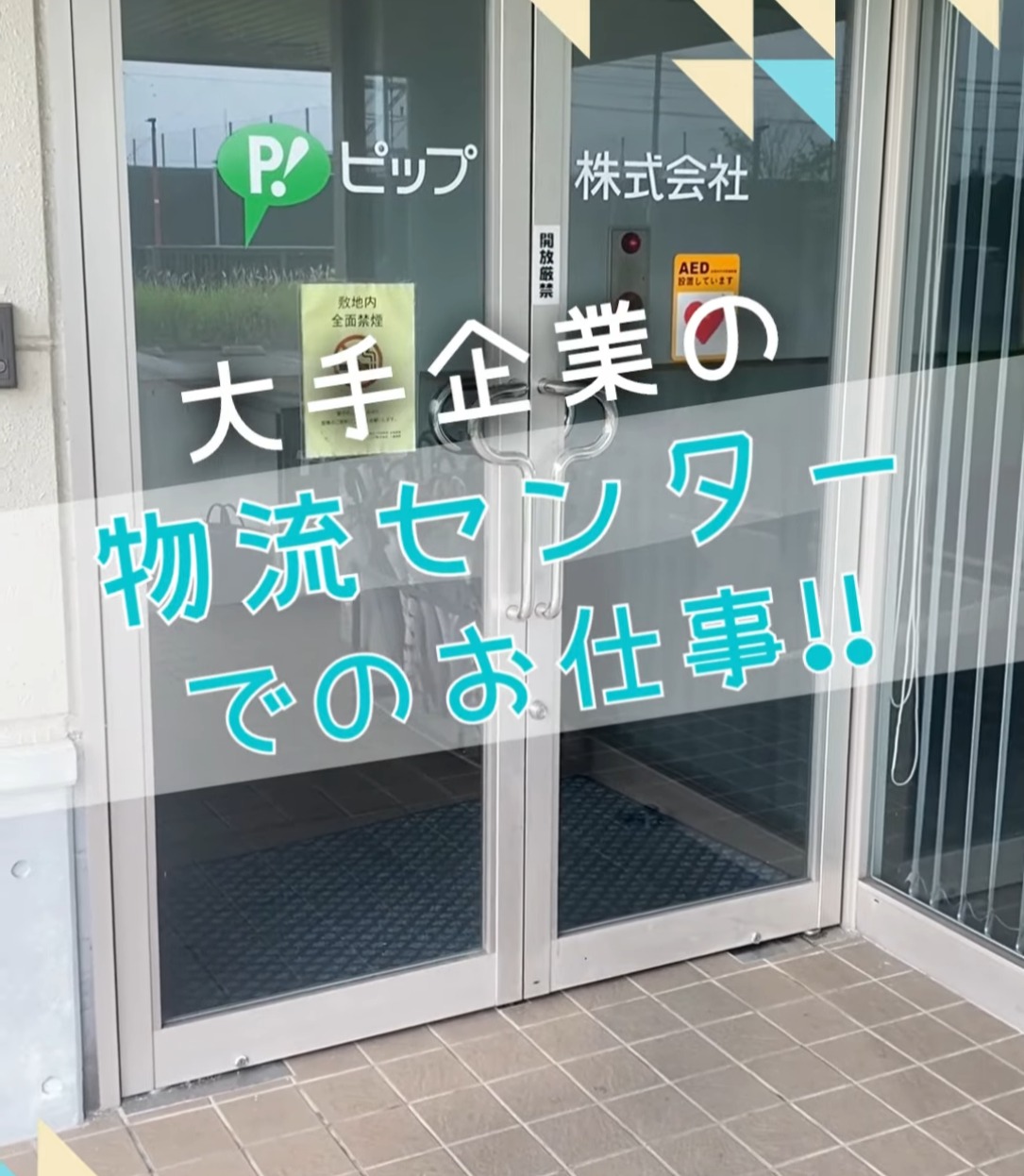 ピップ株式会社 動画 梱包