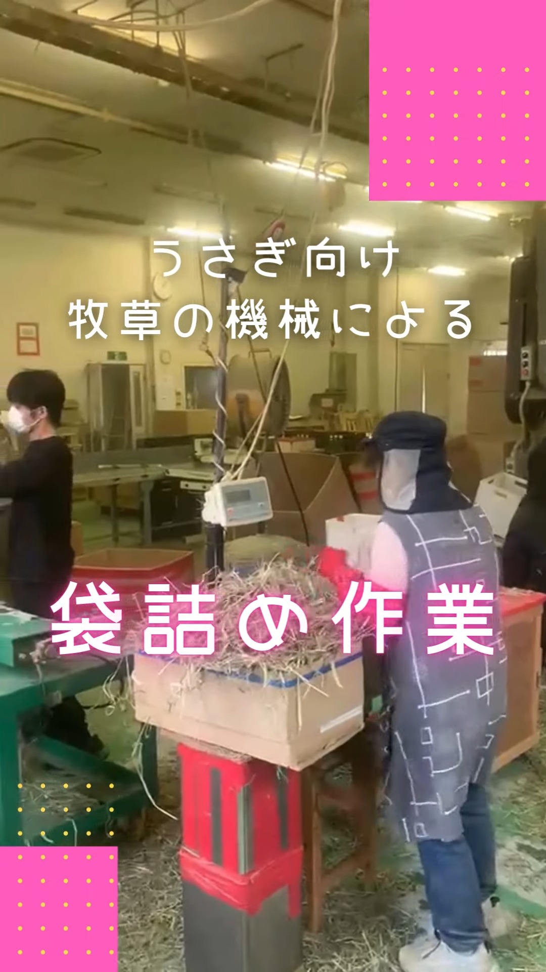 有限会社アスコットコーポレーション 動画 その他軽作業・製造・物流