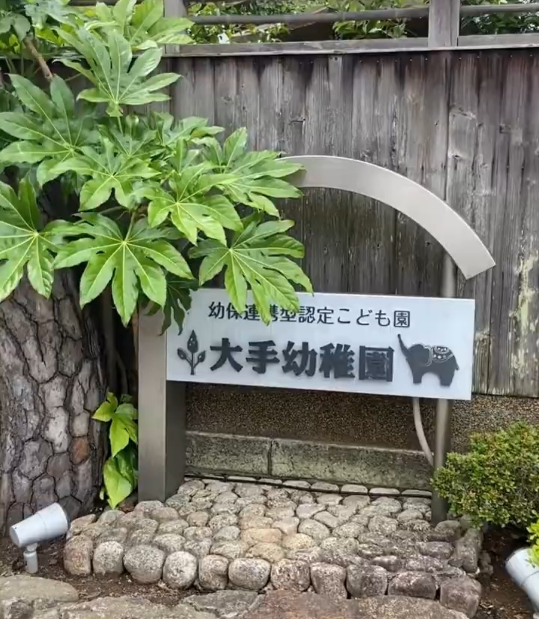 幼保連携型認定こども園 大手幼稚園 動画 保育士